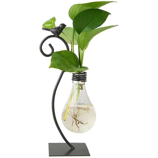 Skrivbordsvas i glas för hydroponisk odling, vas med hållare för heminredning, modern kreativ fågelväxtterrariestativ, Scindapsus