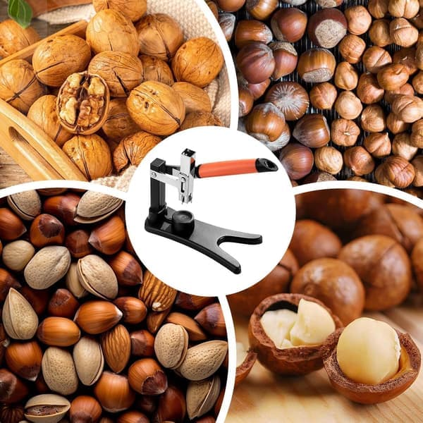 Chestnut Peeler - Handheld Nutcracker with Non-Slip Grip & Reinforced Blade | Safe Shell Remover for Home & Cafe