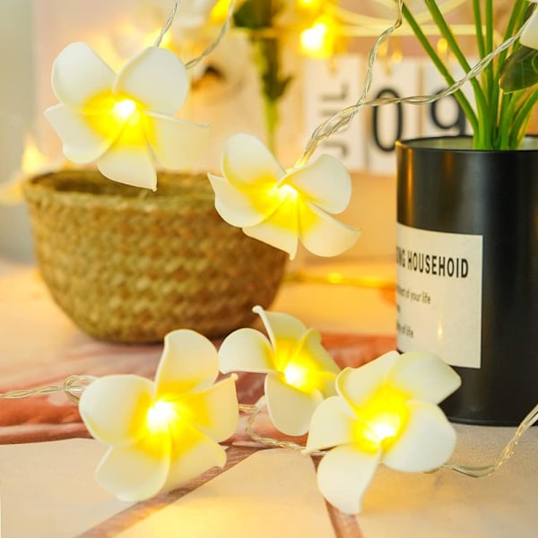 LED Konstgjord Plumeria Blomsträng Ljus - Hawaiiansk Skum Frangipani Blomljus, USB-driven, Fe Strängljus för Sovrum, Födelsedag Bröllop