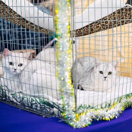 Set of 2 - Pet Hammock - Double-Sided Hammock for Cats - Soft and Breathable Pet Cage Hammock - With Adjustable Straps