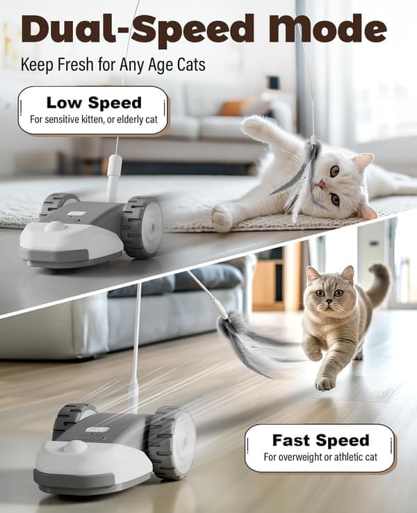 3-in-1 Interactive Cat Toy with 2-Speed Automatic Mouse, Hanging Feather & Silicone Tail - Self-Play Fun for Bored Indoor Cats & Kittens grey