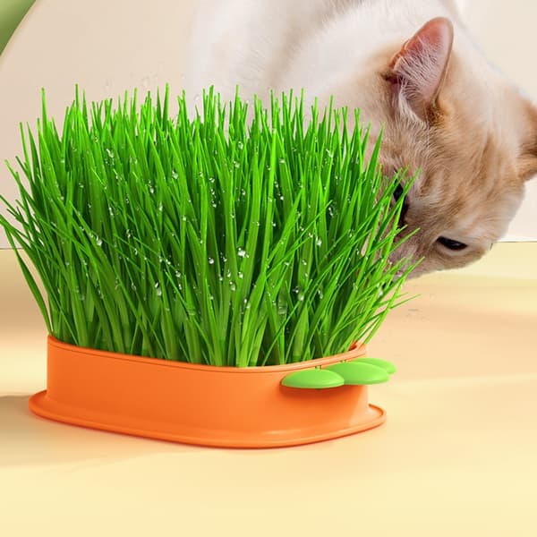 Hollow Cat Grass Planter Cover, Layered Cat Grass Growing Container for Home Indoor