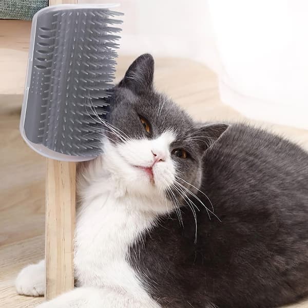 Kattebørste med rum til katteurt / Cat Nip - Selvpleje til kat