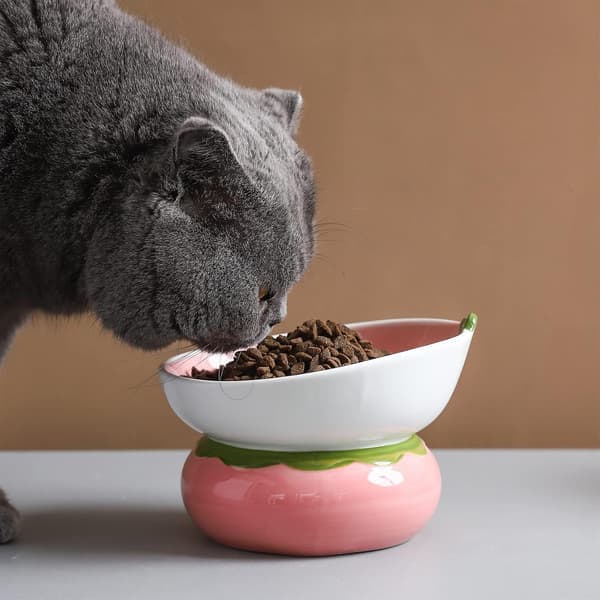 Ceramic Raised Cat Bowl - Pink Elevated Indoor Cat Bowl Anti Vomiting & Spine Protection
