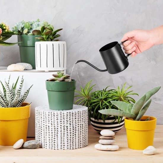 Lille vandkande i rustfrit stål med lang tud 350 ml perfekt til sukkulenter og små planter [YJD] Sort