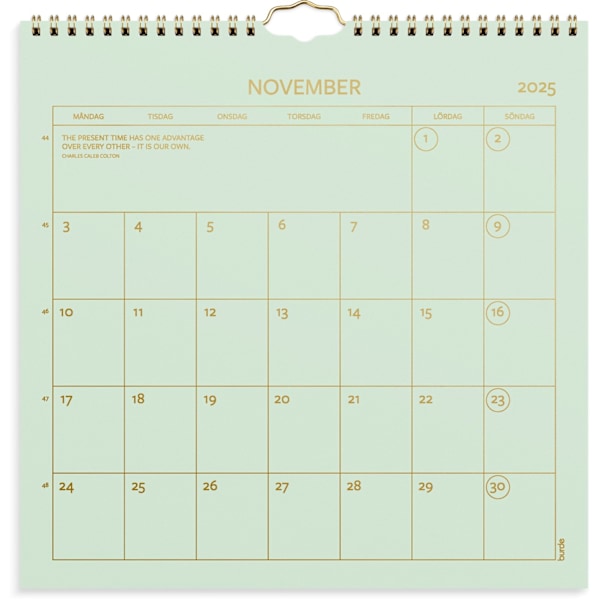 Väggkalender 2025 Color
