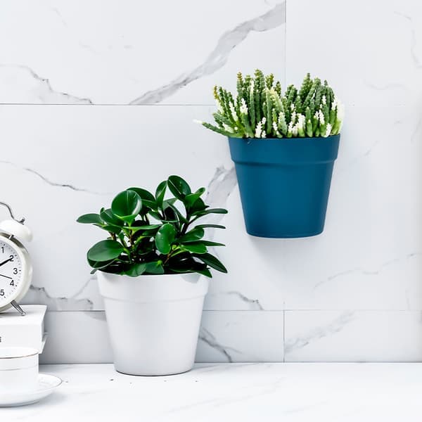 Innvendige og utvendige balkongveggmonterte hvite blomsterpotter i plast