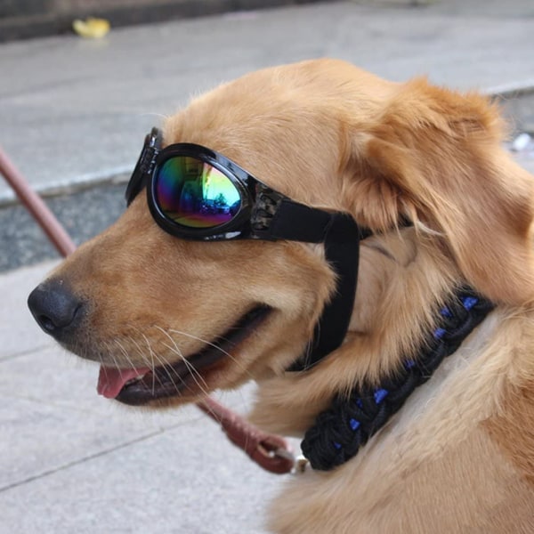 Pet Solglasögon med rem, Hund UV-glasögon med hakrem