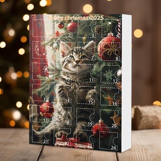 Julekalender 2026 med kattecharms – Sjov julekalender til børn – Søde kattegaver til drenge og piger – Daglige overraskelser med 24 charms