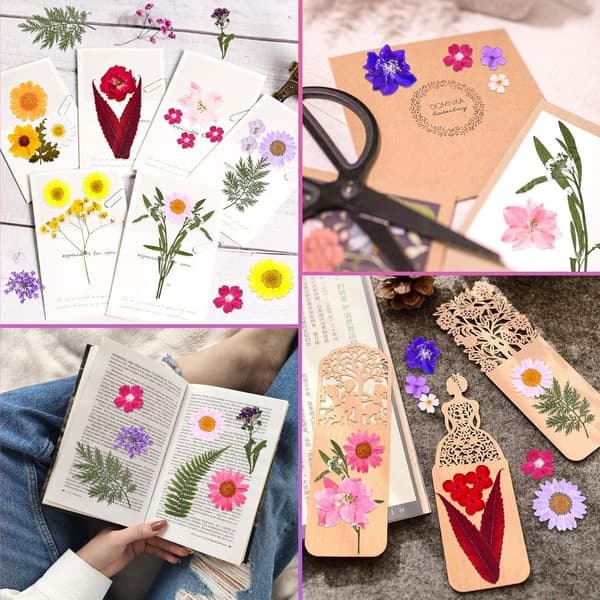 Torkade blommor - DIY-hantverkskit med torkade blommor - Konserverade blommor