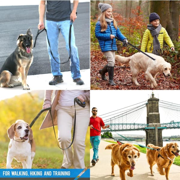 Extremt hållbart hundkoppel - 2 handtag med vadderat trafikkontrollhandtag