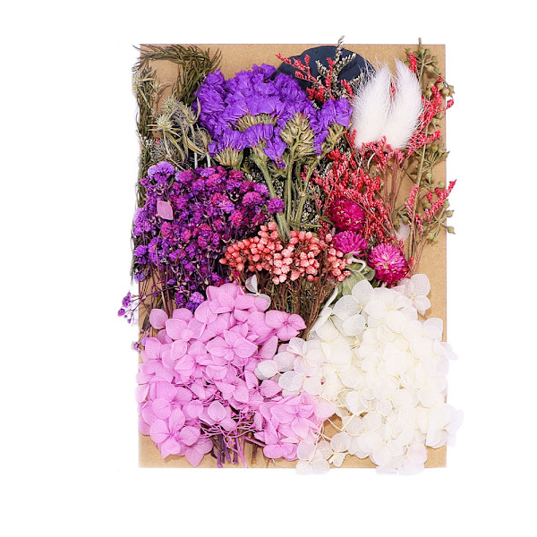 Naturliga torkade blommor, torkade blommor för hantverk