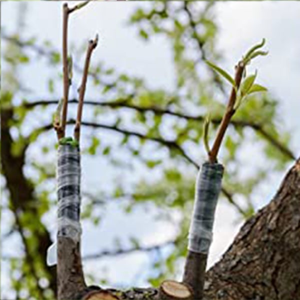 Trädgårdsympningstejp för fruktträd, Phytoremediation Sprout Tape