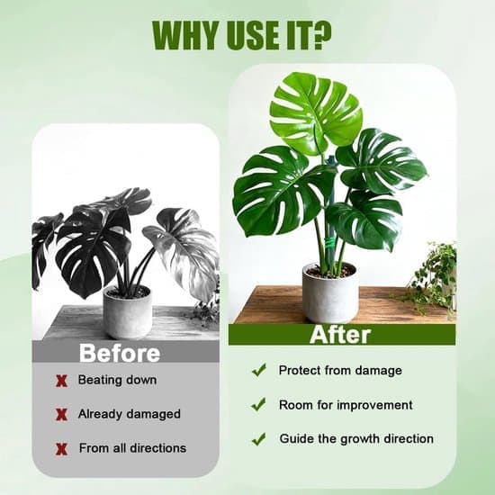 Stapelbart Monstera Växtstöd Nytt 2026 Monstera Växtstöd Klätterväxtstöd Växthållare med Remmar för Utomhusbruk (5-pack)