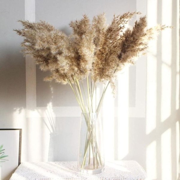 20-pack torkade pampasgräsdekorationer, pampasgräsdekoration, torkade blommor 55 cm, för inredning, fotografering, bröllop (brun)