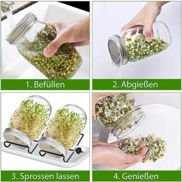 Groningsburkar, 950ML Glass Sprouter med, Groningsfrö Sprouter, 2 rutnät, 2 hållare, 1 groningsskål, Groningsburk för broccoli, vattenselleri,