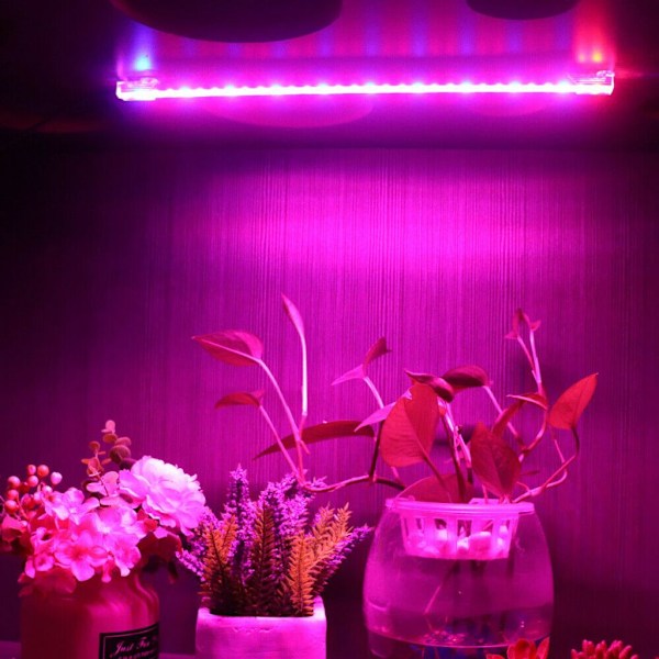 1 st USB LED växtlampa fullspektrum växtlampa växtljus för inomhusväxter grönsaker blommor