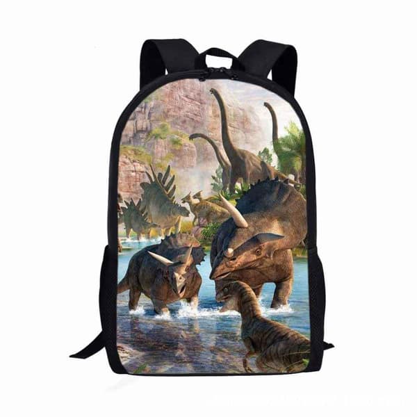 Dinosaurryggsekk, Skolesekk