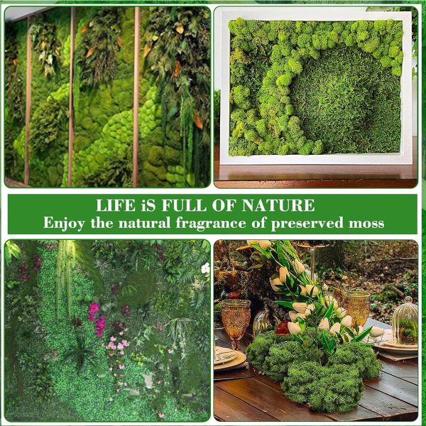 Moss Dekoration, 500g, Konserverad, Rengjord, för Hantverk, Dekorativ Mossa för Påsk, Jul, för Modelltillverkning, Handgjord, Mossbild Dekoration