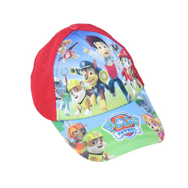 Paw Patrol -lippis pojille D