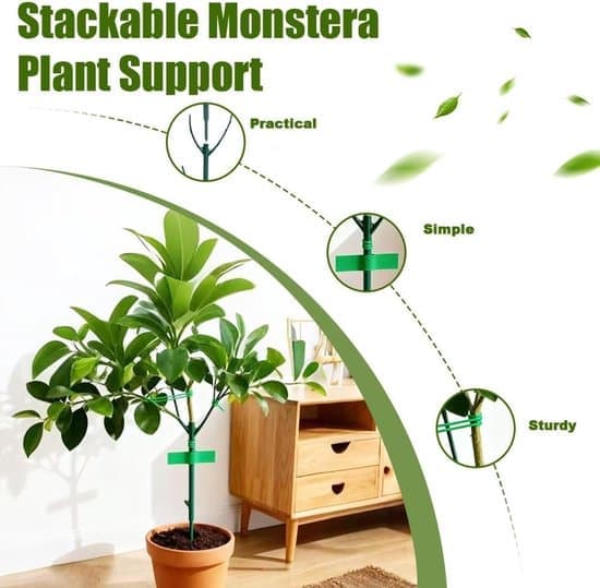 Stapelbart Monstera Växtstöd Nytt 2026 Monstera Växtstöd Klätterväxtstöd Växthållare med Remmar för Utomhusbruk (5-pack)