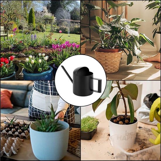Indendørs vandkande 300 ml rustfrit stål mini vandkande lang tud lille vandkande til potteplanter vanding af grønne planter (sort)