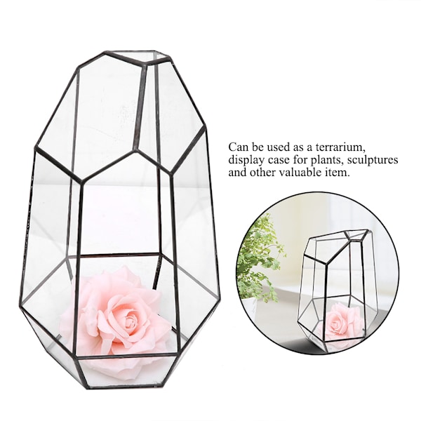 Modern Glasbordsskiva Suckulent Växtterrariumburk Växtdisplayhållare