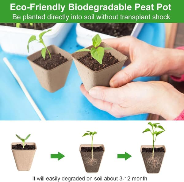 50 Biodegradable 3-inch Square Peat Pots with Labels for Outdoor Plant Nurseries