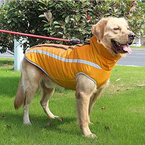 Vattentät hundkappa vinter varm jacka, vindtät husdjurskläder hundjacka outfit för små medelstora hundar med sele hål