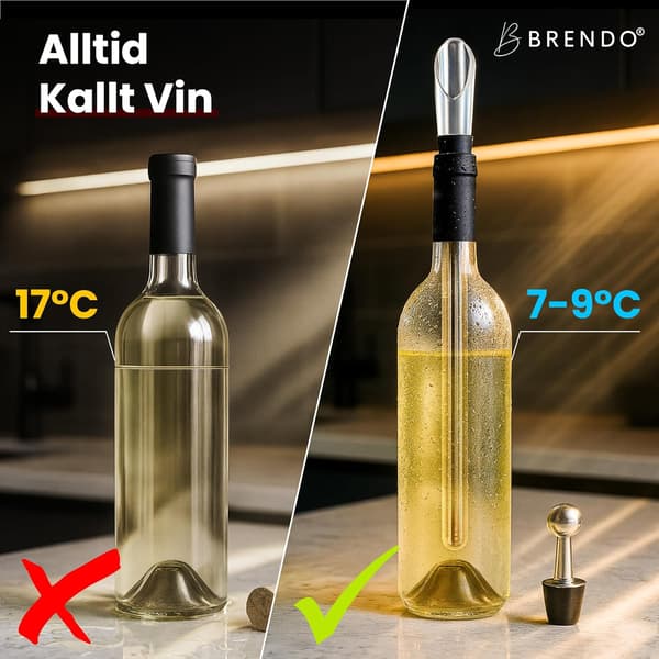 Vinkjøler Rustfritt Stål Isvinbar 5-delt sett (Rustfri Stålbar * 2+Heller+Rund Hode Vinstopper+Vakuumstopper) Bokset | Vingavesett 1set