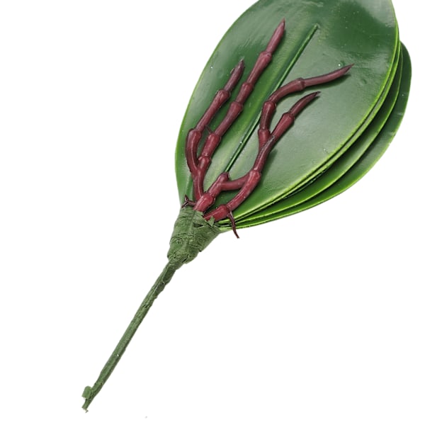 Phalaenopsis blad orkidé blad bröllop hem dekoration simulering växter
