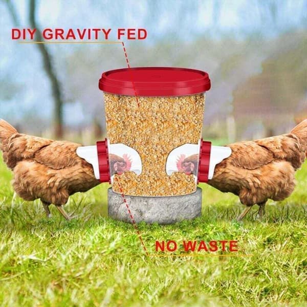 Chicken Feeder, Automatic Chicken Feeder, 4 Ports DIY Gravity Poultry Feeder Kit for Buckets, Barrels, Containers...