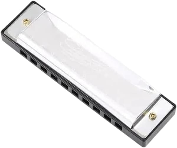 Munspel C-dur 10 hål 20 toner Munspel Nybörjarinstrument (Silver)