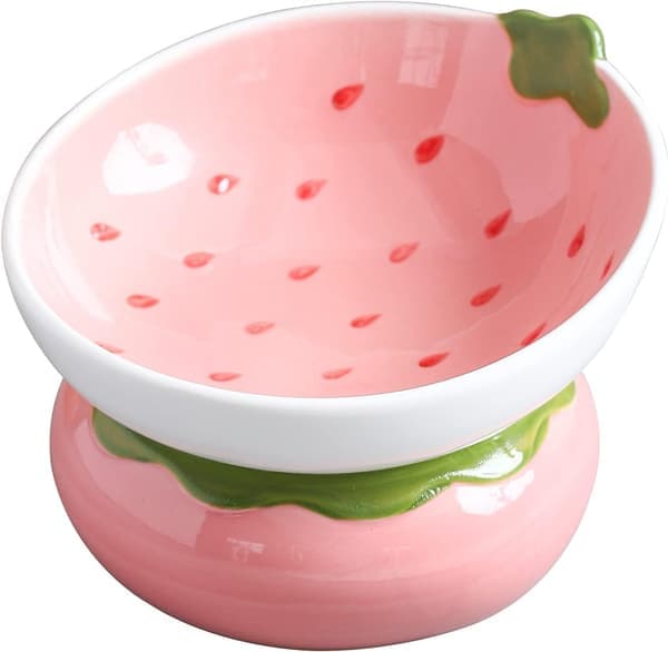 Ceramic Raised Cat Bowl - Pink Elevated Indoor Cat Bowl Anti Vomiting & Spine Protection