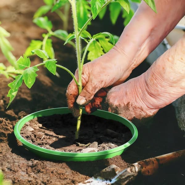 9 \" Planter Ring Sturdy Grow & Water Rings Växtskydd Isolerar Stenar Vertikal Design för Trädgårdsbäddar Gräsmatta & Landskap 6-pack