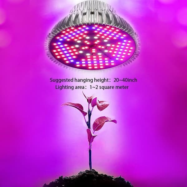 300W E27 Fuld Spektrum LED Plantelys Indendørs Plantelys til Drivhus Have