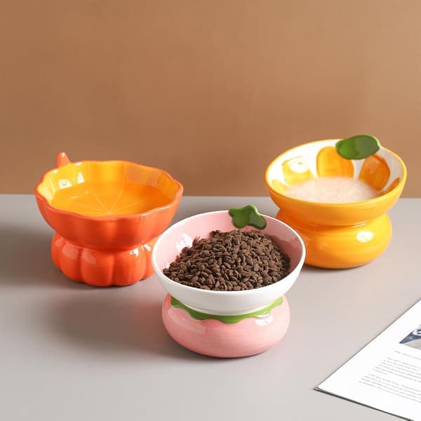Ceramic Raised Cat Bowl - Pink Elevated Indoor Cat Bowl Anti Vomiting & Spine Protection
