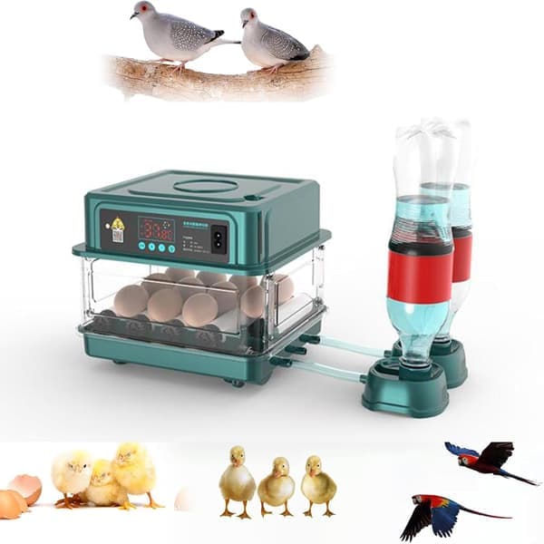 Automatisk eggklekker, i stand til å klekke 12 til 15 egg, med effektiv LED-belysning, automatisk eggvending og fuktighetskontroll.
