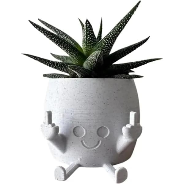 A smiling flower pot with an extended middle finger, a succulent pot.
