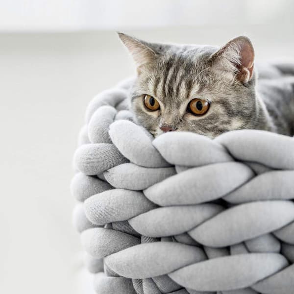 Söt Bohemisk kattbädd