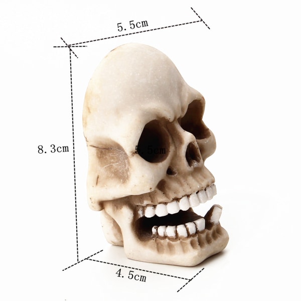 1st Mänskligt ansikte skelett tänder vindare kreativt skelett