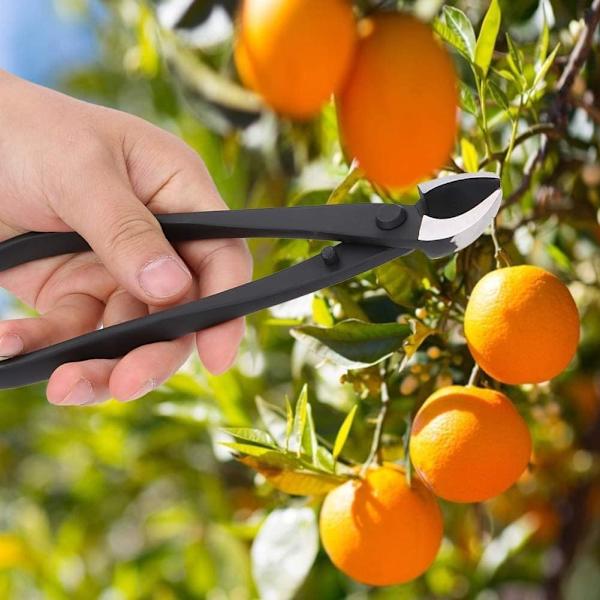 1 kpl Puutarhatyökalut Bonsai-palloleikkuri Pyöreäkuonoiset Pihdit Ruukutettu