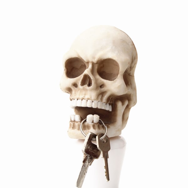 1st Mänskligt ansikte skelett tänder vindare kreativt skelett