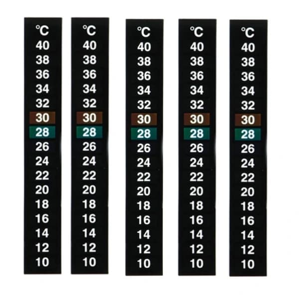 5-pakning tradisjonell digital klistremerketermometer med Celsius-system
