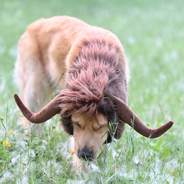 Funny Reindeer Pet Costume - Fur Wig for Halloween and Christmas