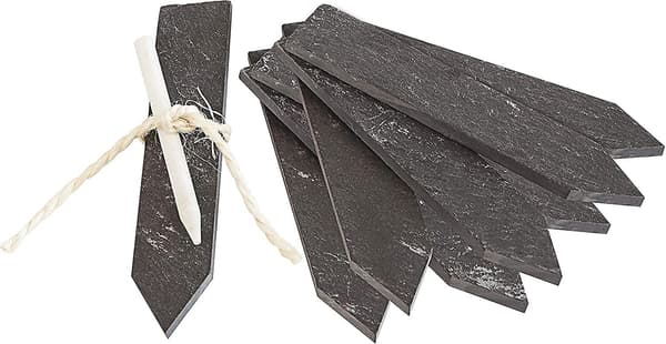 10 kpl liitutaulua kasveille, musta, 15*2cm