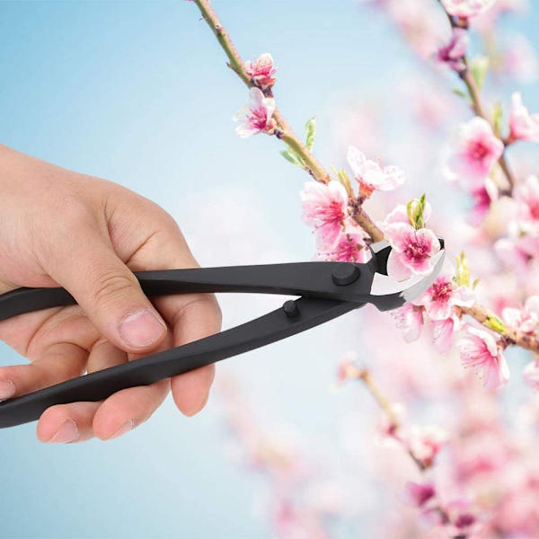 1 kpl Puutarhatyökalut Bonsai-palloleikkuri Pyöreäkuonoiset Pihdit Ruukutettu