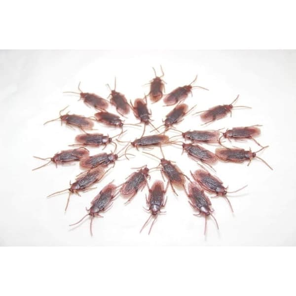 24-pack Falska Kackerlackor i Plast - Skämtkackerlackor, Gag-Presenter, A
