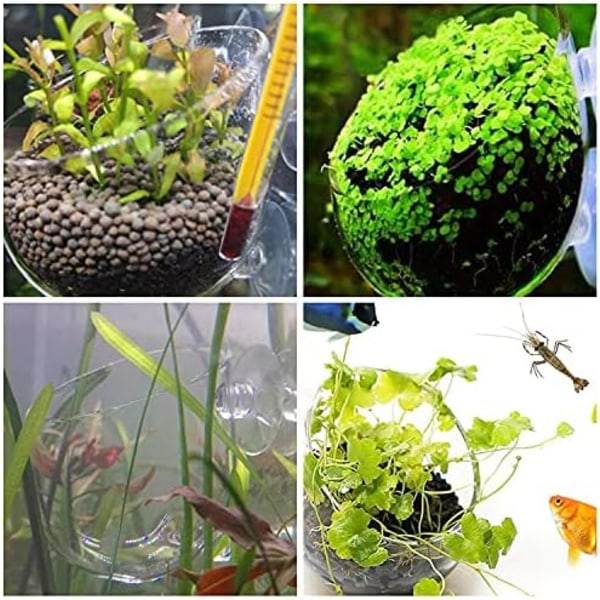 2 glas plantekopper, akvarium Akvatisk planteplantning, med 2