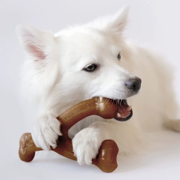 Wishbone Holdbart Hundetyggelegetøj til Aggressive Tygger, Ægte Bacon, Fremstillet i USA, Medium